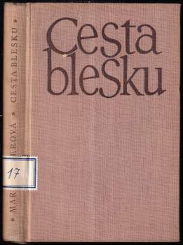 Cesta blesku