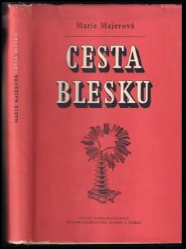 Cesta blesku