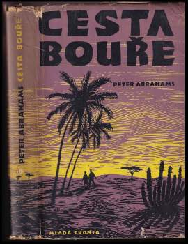 Peter Abrahams: Cesta bouře