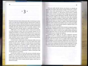Brandon Bays: Cesta