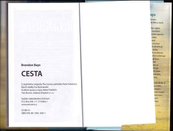 Brandon Bays: Cesta