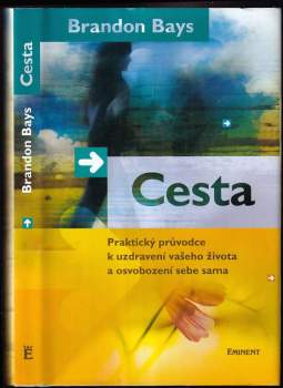 Brandon Bays: Cesta