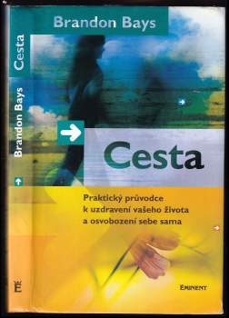 Brandon Bays: Cesta