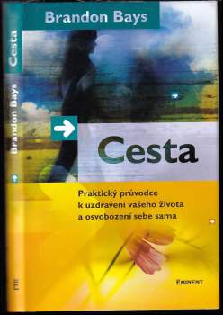 Brandon Bays: Cesta
