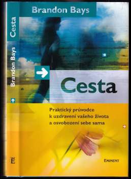 Brandon Bays: Cesta