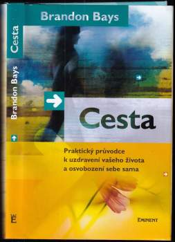 Brandon Bays: Cesta