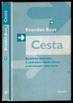 Brandon Bays: Cesta