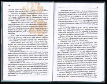 Brandon Bays: Cesta