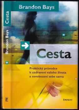 Brandon Bays: Cesta