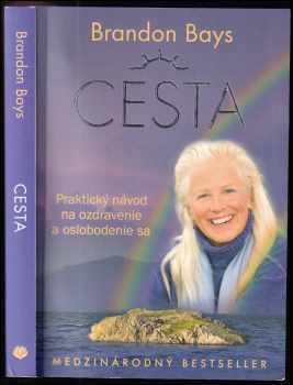 Brandon Bays: Cesta