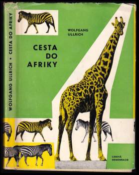 Cesta do Afriky