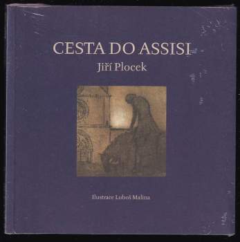 Cesta do Assisi