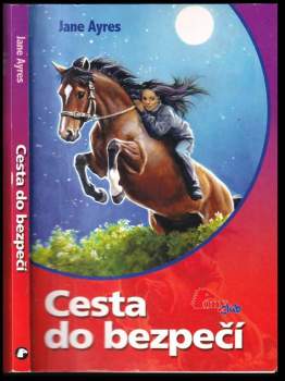 Cesta do bezpečí