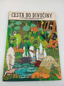 Aleksandra Mizielińska: Cesta do divočiny