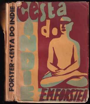 Cesta do Indie : román