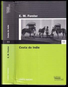 Cesta do Indie