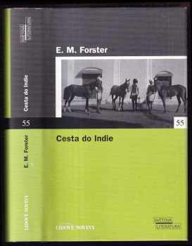 Cesta do Indie