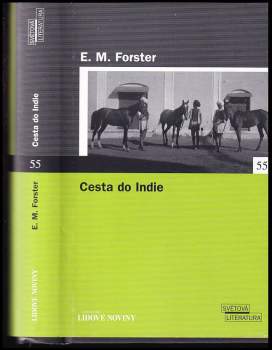 Cesta do Indie