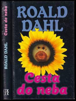 Cesta do neba