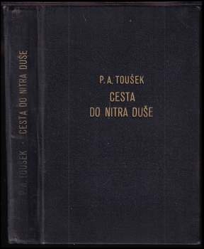 Cesta do nitra duše