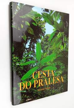 Cesta do pralesa