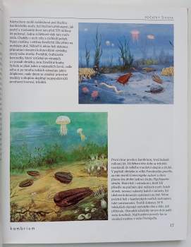 Bořivoj Záruba: Cesta do pravěku