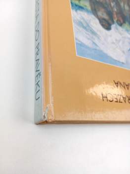 Bořivoj Záruba: Cesta do pravěku