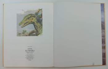 Bořivoj Záruba: Cesta do pravěku