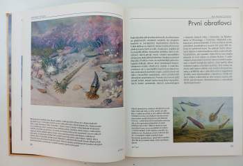 Bořivoj Záruba: Cesta do pravěku