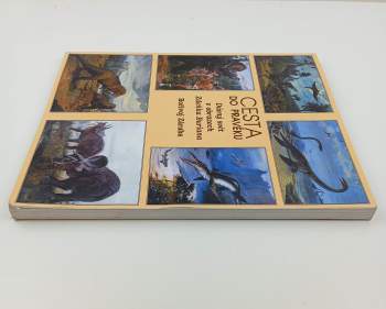 Bořivoj Záruba: Cesta do pravěku