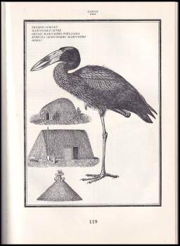 Emil Holub: Cesta do země Mašukulumbů