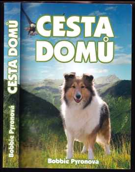 Bobbie Pyron: Cesta domů