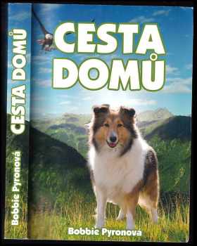 Bobbie Pyron: Cesta domů