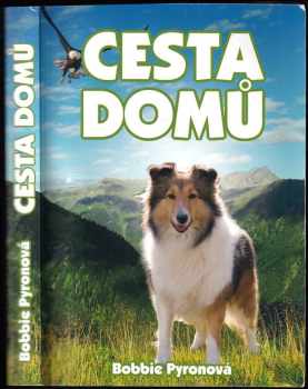 Bobbie Pyron: Cesta domů