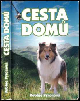 Bobbie Pyron: Cesta domů