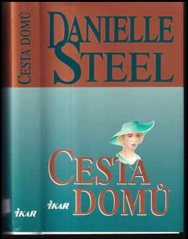 Cesta domů