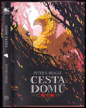 Cesta domů
