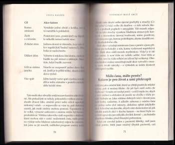 Robert Maurer: Cesta kaizen