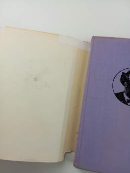 Jules Verne: Cesta kolem světa za osmdesát dní