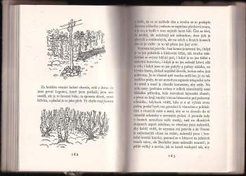 Karel Čapek: Cesta na sever