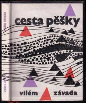 Cesta pěšky