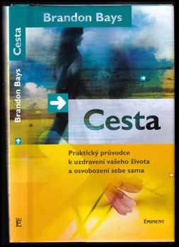 Brandon Bays: Cesta