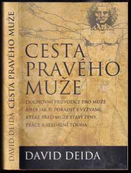 Cesta pravého muže - David Deida (2012, Synergie) - ID: 834901