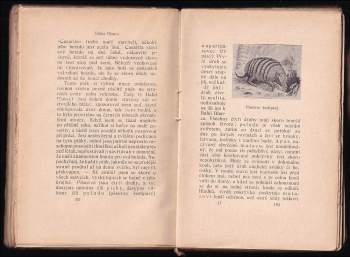 Charles Darwin: Cesta přírodozpytcova kolem světa