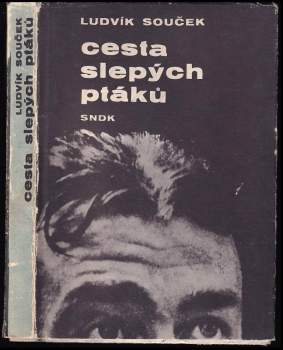 Ludvík Souček: Cesta slepých ptáků