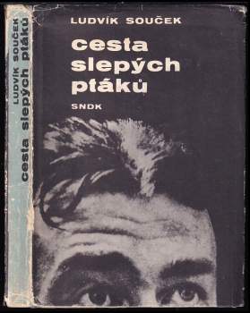 Cesta slepých ptáků