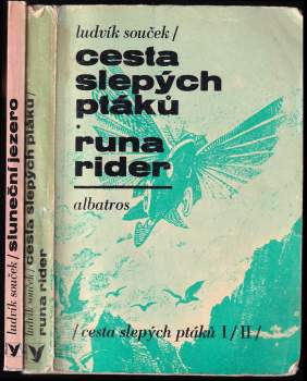 Cesta slepých ptáků