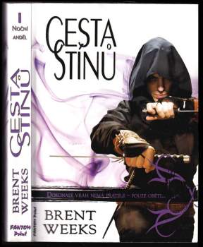 Cesta stínů