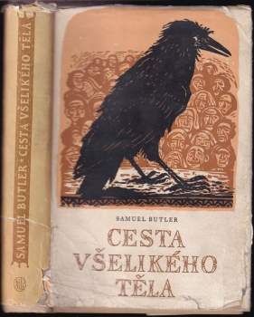Samuel Butler: Cesta všelikého těla