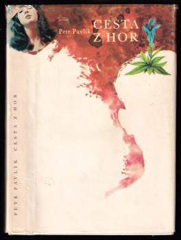 Petr Pavlík: Cesta z hor